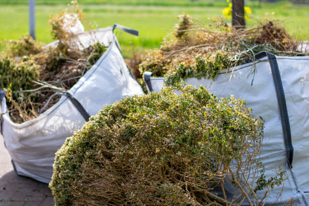 Best Property Management Cleanouts  in St Clair Shores, MI